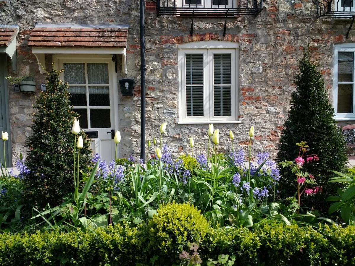 St Etheldreda'S Cottage, Wells, Somerset Dış mekan fotoğraf